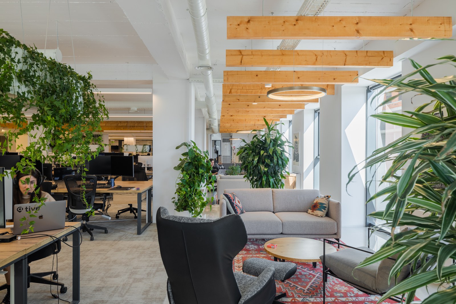 TIVE Inc Office